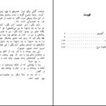 دانلود پی دی اف کتاب النگوی یا قوت سرخ آلکساندر کوپرین PDF