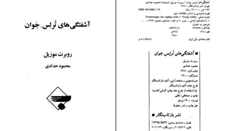 دانلود پی دی اف کتاب آشفتگی های ترلس جوان محمود حدادی PDF
