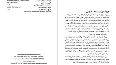 دانلود پی دی اف کتاب آشفتگی های ترلس جوان محمود حدادی PDF