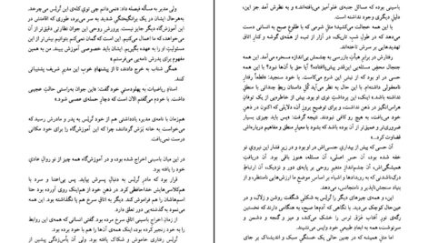 دانلود پی دی اف کتاب آشفتگی های ترلس جوان محمود حدادی PDF