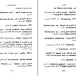 دانلود پی دی اف کتاب برادرزاده رامو ترجمه احمد سمیعی PDF