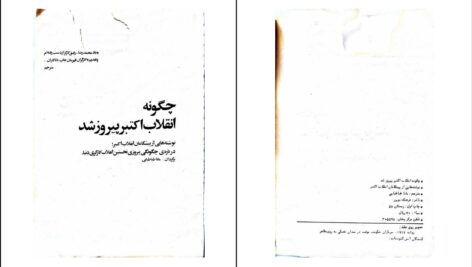 دانلود پی دی اف کتاب چگونه انقلاب اکتبر پیروز شد مناطباطبائی PDF