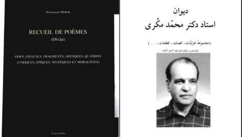 دانلود پی دی اف کتاب دیوان استاد دکتر محمد مکری PDF