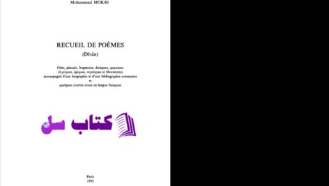 دانلود پی دی اف کتاب دیوان استاد دکتر محمد مکری PDF