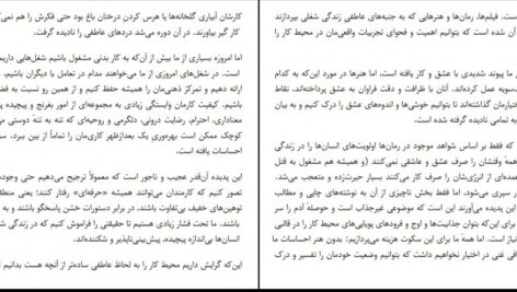 دانلود پی دی اف کتاب هوش عاطفی در محیط کار الن دو باتن محمد هادی حاجی بیگلو PDF