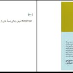 دانلود پی دی اف کتاب هوش عاطفی در محیط کار الن دو باتن محمد هادی حاجی بیگلو PDF
