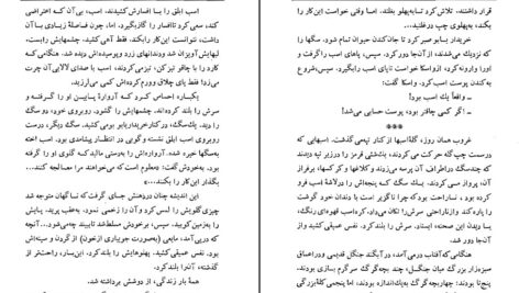 دانلود پی دی اف کتاب خولستو مر (سرگذشت یک اسب) لئوتولستو PDF
