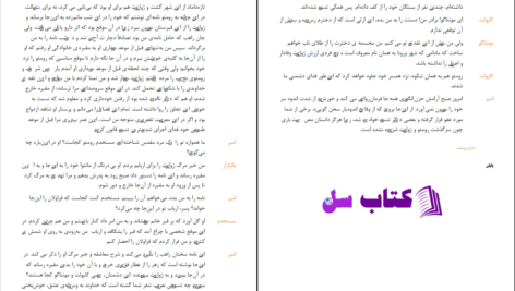 دانلود پی دی اف کتاب رومئو و ژولیت اثر ویلیام شکسپیر ترجمه ی دکتر علاءالدین پازار گادی PDF