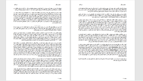 دانلود پی دی اف کتاب دانلود تولدی دیگر شجاع الدین شفا PDF