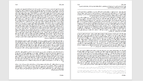 دانلود پی دی اف کتاب دانلود تولدی دیگر شجاع الدین شفا PDF