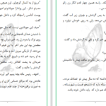 دانلود پی دی اف کتاب امانت دار دلم باش مریم‌ مؤیدی PDF