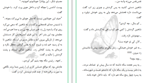 دانلود پی دی اف کتاب امانت دار دلم باش مریم‌ مؤیدی PDF