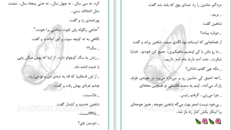 دانلود پی دی اف کتاب امانت دار دلم باش مریم‌ مؤیدی PDF