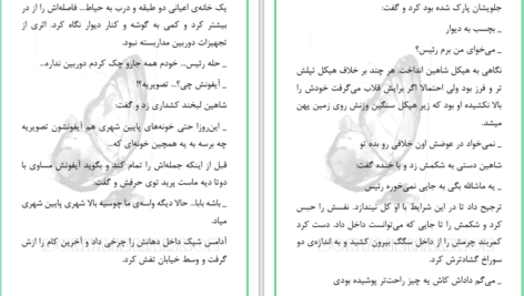 دانلود پی دی اف کتاب امانت دار دلم باش مریم‌ مؤیدی PDF