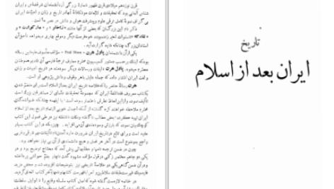 دانلود پی دی اف کتاب تاریخ مختصر ایران از اول اسلام تا انقراض زندیان پاول هرن PDF