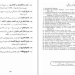 دانلود پی دی اف کتاب تاریخ مختصر ایران از اول اسلام تا انقراض زندیان پاول هرن PDF
