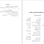 دانلود پی دی اف کتاب نادر؛ پسر شمشیر نورالله لارودی PDF