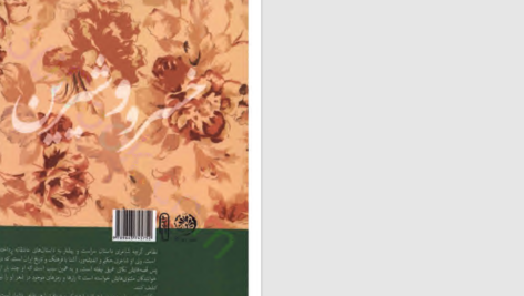 دانلود پی دی اف کتاب خسرو و شیرین ثروتیان بهروز PDF