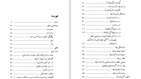 دانلود پی دی اف کتاب معانی جلد 2 زیبا شناسی سخن پارسی میر جلال الدین کزازی PDF