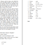 دانلود پی دی اف کتاب دختر سوداگر همایون هوتک PDF