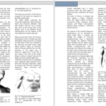 دانلود پی دی اف کتاب اناتومی بیسیک جوعل PDF