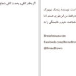 دانلود پی دی اف کتاب با اقتدار برخاستن برنه براون PDF
