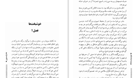 دانلود پی دی اف کتاب کتاب پس از مجلس رقص لئو تولستوی PDF