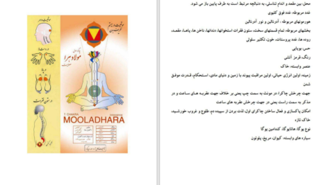 دانلود پی دی اف کتاب چاکرا درمانی شیلا شارمون PDF