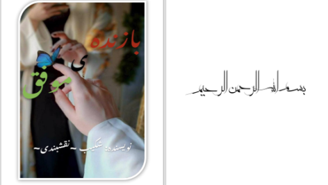 دانلود پی دی اف کتاب بازنده موفق شکیب نقشبندی PDF