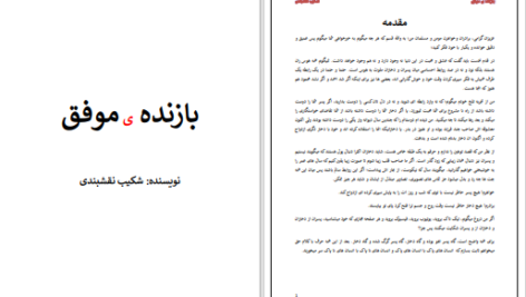 دانلود پی دی اف کتاب بازنده موفق شکیب نقشبندی PDF