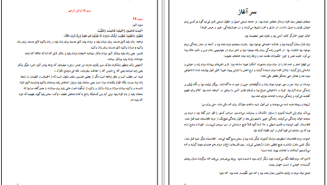 دانلود پی دی اف کتاب بازنده موفق شکیب نقشبندی PDF