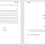 دانلود پی دی اف کتاب بازنده موفق شکیب نقشبندی PDF