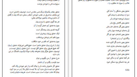 دانلود پی دی اف کتاب سرنوشتم را خودم مینویسم دلارام یوسفی PDF