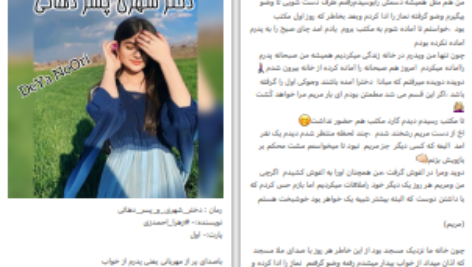 دانلود پی دی اف کتاب دختر شهری و پسر دهاتی زهرا احمدی زی PDF