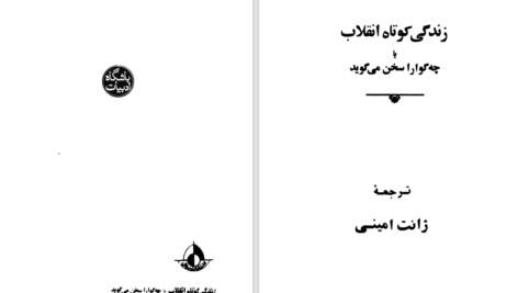 دانلود پی دی اف کتاب زندگی کوتاه انقلاب امینی PDF
