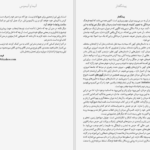دانلود پی دی اف کتاب مرد مرد رابرت بلای PDF