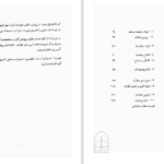 دانلود پی دی اف کتاب مذاکره درخشان در هفت گام ساده پیتر رونالد فلمینگ PDF
