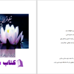 دانلود پی دی اف کتاب نیلوفری از جنس تنهایی نیلو امیری PDF