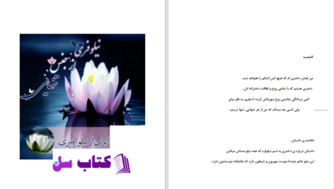 دانلود پی دی اف کتاب نیلوفری از جنس تنهایی نیلو امیری PDF