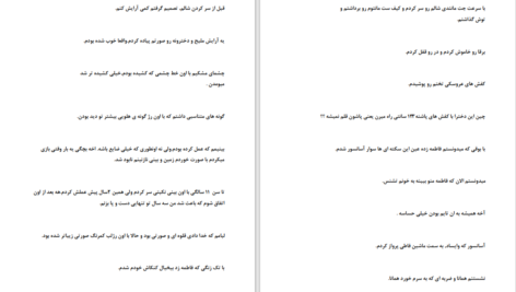 دانلود پی دی اف کتاب نیلوفری از جنس تنهایی نیلو امیری PDF