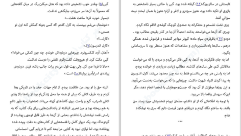 دانلود پی دی اف کتاب پرنده اسرار آمیز مارتین داویس PDF