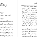 دانلود پی دی اف کتاب دیوان جامی ح.پژمانPDF