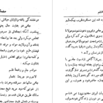 دانلود پی دی اف کتاب دیوان جامی ح.پژمانPDF
