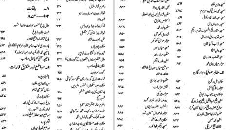 دانلود پی دی اف کتاب تحقیقات چشتی احمد چشتی PDF