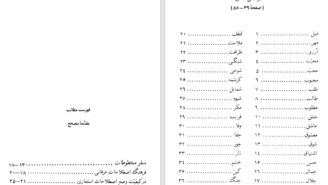 دانلود پی دی اف کتاب فرهنگ اصطلاحات عرفانی PDF