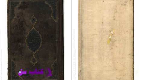دانلود پی دی اف کتاب رباعیات مولانا PDF