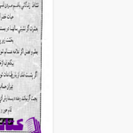 دانلود پی دی اف کتاب شعرای بلخ ابوالاسفار علی محمد بلخی PDF