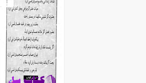 دانلود پی دی اف کتاب شعرای بلخ ابوالاسفار علی محمد بلخی PDF