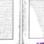 دانلود پی دی اف کتاب نسائم المحبه علیشیر نوایی ال یازما PDF