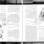 دانلود پی دی اف کتاب قاضی شوشتری PDF